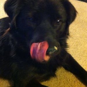 Meet your Posher, Shawn